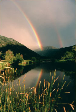 Rainbow