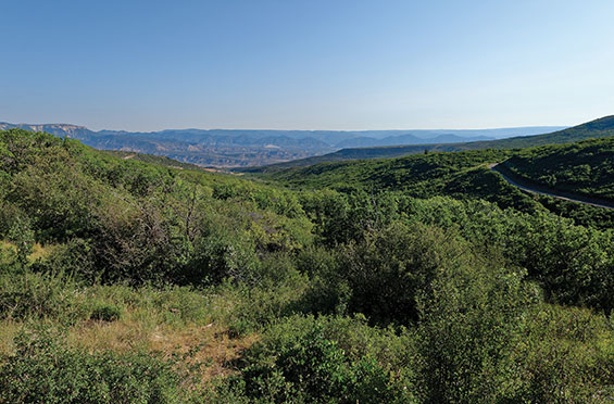 Beaver Creek Highlands, Lot 3