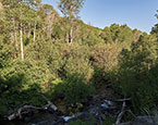 Lot with creek 