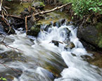 Beaver Creek 