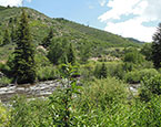 Frying Pan River Views 