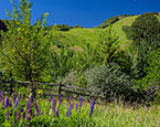 Highland views