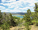 Harvey Gap Views 