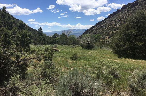 Harvey Gap2