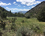 Lot Views