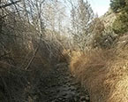 Seasonal creek 