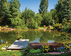 Pond 