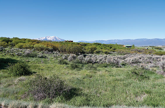 Panorama Ranch Horse Property