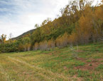 Snowmass Creek lot 